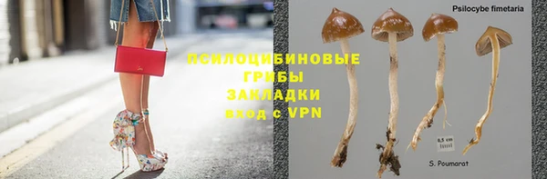 мяу мяу мука Алзамай