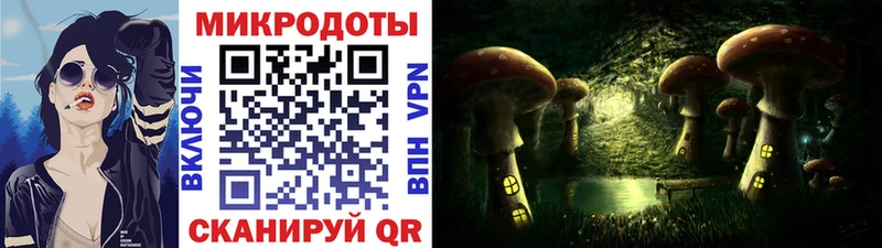 Псилоцибиновые грибы GOLDEN TEACHER  купить наркотик  Талица 
